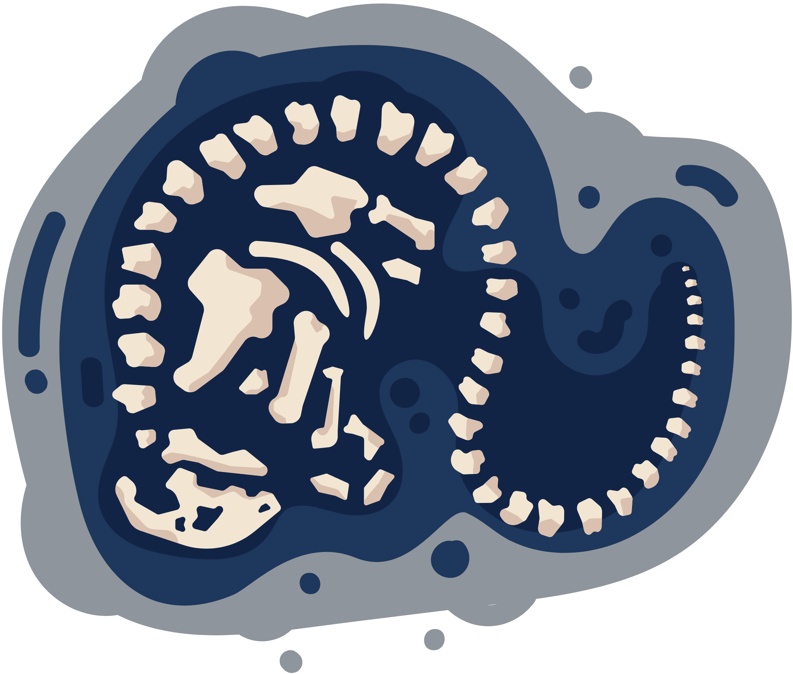 Dinosaur fossil tail